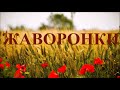 Жаворонки Полевые - Russian Field -Lark Singing