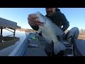 Try this AWESOME bait to catch winter SLABS!! ..#fishing#crappiefishing