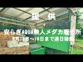 定番‼️油膜を取り除く方法【酸欠防止】ミジンコ培養で油膜発生時、ミジンコを洗っちゃてます。安らぎAQUAちゃんねる