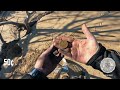 Beach Metal Detecting for Coins, Relics and.. Dinosaurs!? 🦖