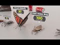 3d size comparison | Insects