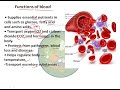 BLOOD COMPOSITION AND FUNCTION IN HINDI PART 1 | Blood anatomy and physiology in HINDI | HUMAN Blood