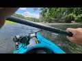 Scouting for native along the Susquehanna 🏹⚡️🍀