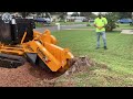 Extreme Dangerous Fastest Big Chainsaw Cutting Tree Machines