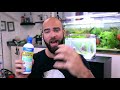 Aquascape Tutorial: ULTIMATE BETTA Nano Tank For Beginners (How To No co2 Planted Tank Step by Step)