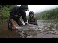 12 year old lands 28 lbs Atlantic Salmon fly fishing on Grand Cascapedia