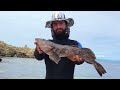 MONTEREY SPEARFISHING Pursuit of Fish Episode 1