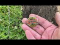 Metal Detecting Vintage School - What In the World Did I Find? Minelab Equinox