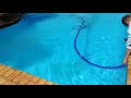 How to clear a cloudy pool in 24 hours (flocculant)
