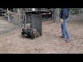 Jager Pro Hog Trapping - Texas