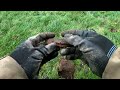 Massive coin found metal detecting with the Deus 2