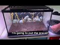 Setup a Fish Aquarium Using Dirt Potting Soil