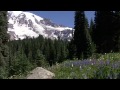 Journey Around the Mountain: Exploring Mount Rainier National Park