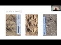 AHE 2024 - Webinar #49 - Wildlife Tracking