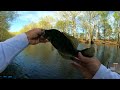 Catching loads of black Crappie in the shallows - Spring Crappie fishing