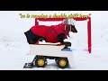 Episode Three: The Wiener Dog Hockey Bros