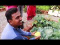 సుజాత గారి farm house చూడ్డానికి రెండు కళ్ళు సరిపోవు #gardening