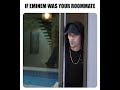If Eminem Was Your Roommate | Lil Windex