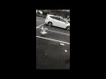 Seagull eats fries, scares of other seagull and leaves.