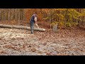 cutting fire wood