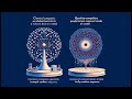Fundamentals of Quantum Computing: Photons and Polarization