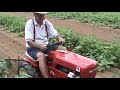 Wheel Horse in the garden