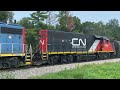 CN L568 - BNSF 2317 West near Petersburg (July 23 2024)