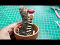Fairy garden | DIY miniature garden ideas | with fairy house and pond | Dollar tree Fairy house