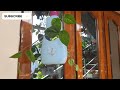 Amazing Hanging Planter Idea With Surf Excel Bottle l Plastic Bottle Reuse Ideas l