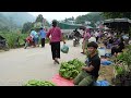 2 Year Living off grid in forest,Gardening,Harvesting Asparagus,Bananas, Guava, to market sell