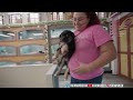 iShowSpeed Adopts a New Dog!