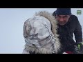 Muskox hunting | Greenland