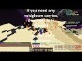 How to get carried in voidgloom t4 (hypixel skyblock)