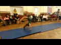 Harry 5K Assembly (gymnastics)