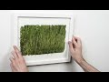 Making Paper From Grass... and Printing On It
