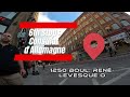 ALLEY CAT RACE in MONTREAL - FIXED GEAR POV