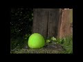 This Water Balloon Looks AMAZING in Slow Motion! Popping a Water Balloon in Slow Motion #shorts