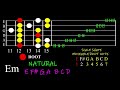 Three Easy Scale Shapes in E Minor #beginnerguitarlessons #guitarscales