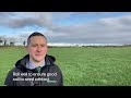 How to Be Effective when Reseeding Grassland