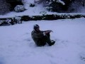 Nathan rolling in the snow