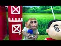Baby monkey and baby duck go harvest fruit and enjoy watermelon juice together