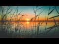 🌅 BELLE MUSIQUE DE RELAXATION | BEAUTIFUL RELAXING MUSIC :  dormir, méditer | calm, sleep, meditate