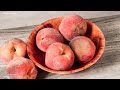 Brown rot on peach | Disease cycle
