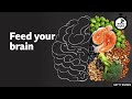 Feed your brain ⏲️ 6 Minute English