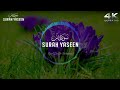 Surah Yasin (Yaseen) | Full With ArabicText |(Episode 05)| Surah Yaseen Beautiful Recitation