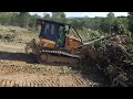 Mulching and Tree Clearing