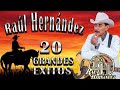 Raúl Hernandez 20 Grandes Exitos || Puros Corridos Viejitos || Mix Para Pistear