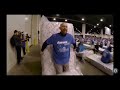 Largest human mattress Domino chain, World Record!!!