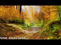 SyTeQ - Autumn Sunfall (2010)
