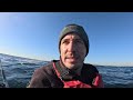 Catching Fish With The WHALES !!  Solo Kayak Fishing Sydney